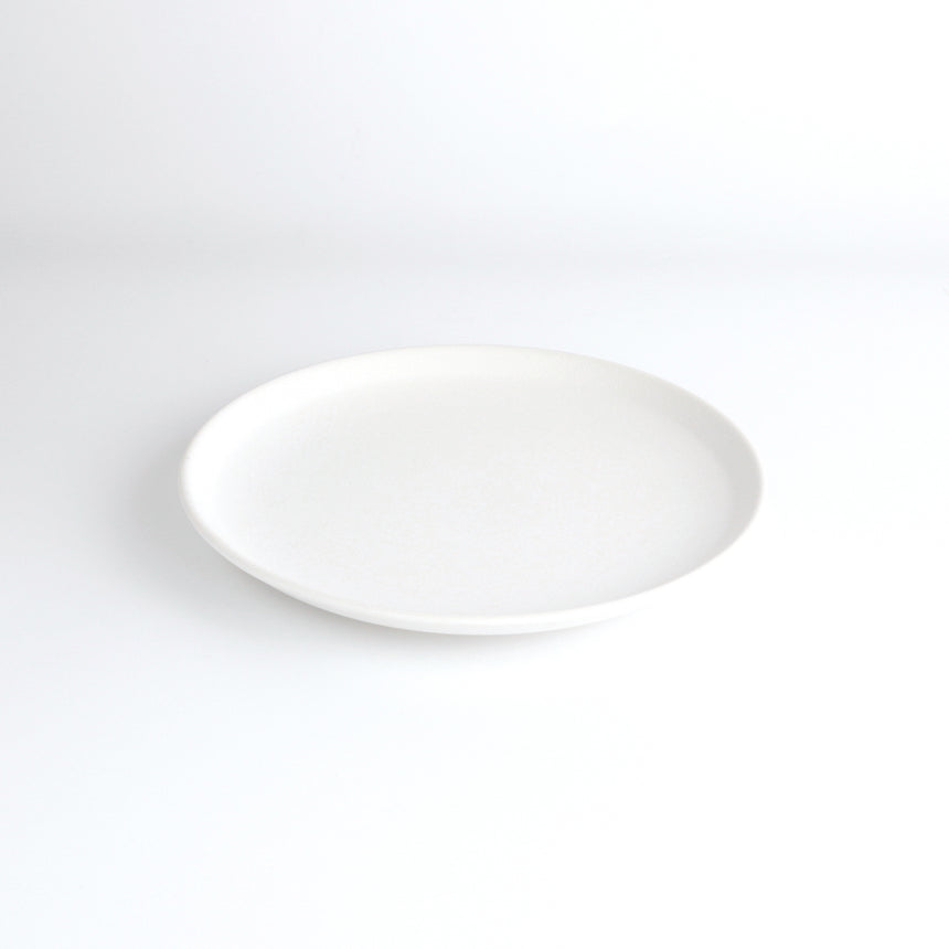 Plate 16 [White]