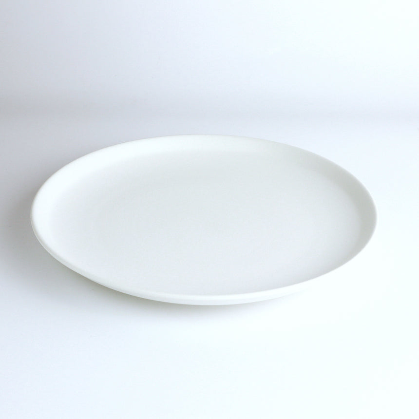 Plate 21 [White]