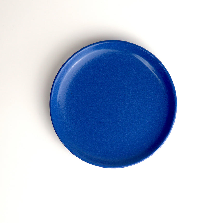 Plate 16 [Blue]