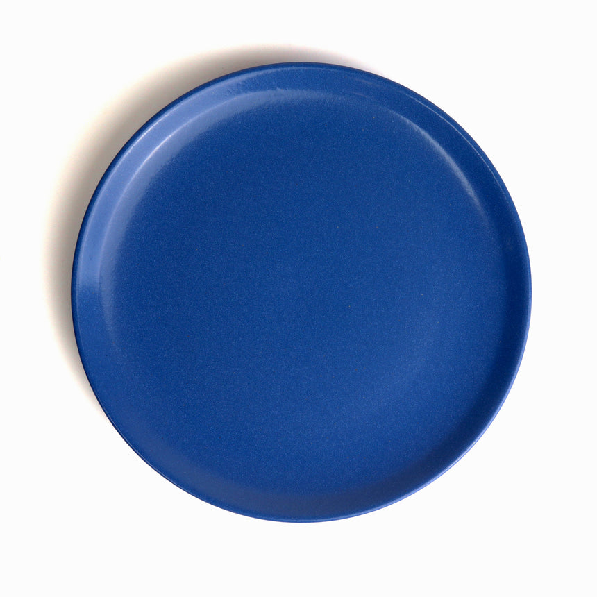 Plate 21 [Blue]