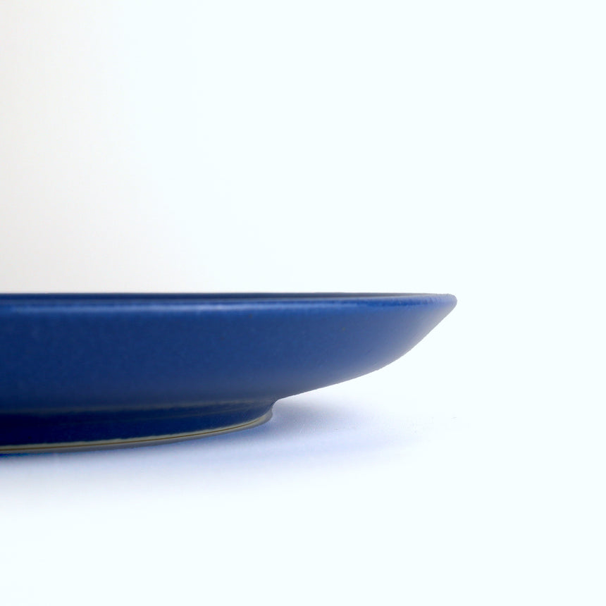 Plate 21 [Blue]